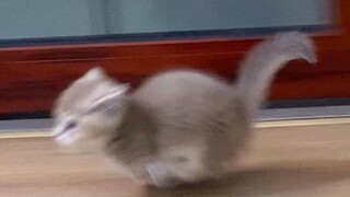 Spent ages dealing zero damage