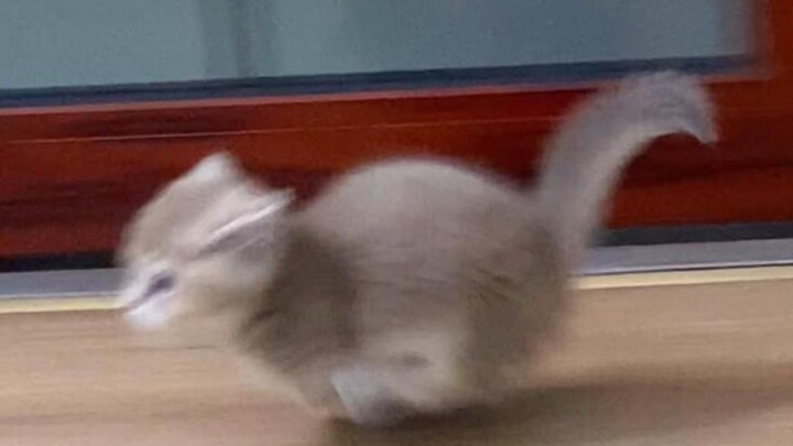 打了半天伤害为零