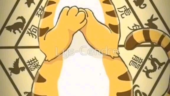 Kisa is a tiger #fruit basket