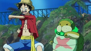 Luffy, tuan ini bisa menyembah, jika sesuatu terjadi, dia sangat baik.