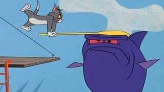 Tom: I'm in charge of all the fish.