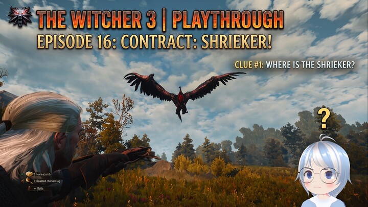 Monster Contract: Shrieker! | The Witcher 3 Wild Hunt #16