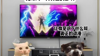 Ảnh hưởng của Bảy Viên Ngọc Rồng đối với thế hệ nam sinh