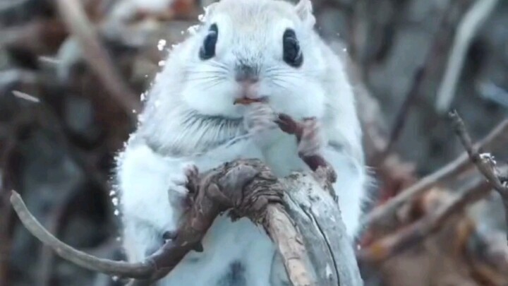 คนที่น่ารักที่สุดในโลก