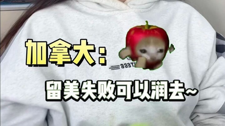 Ringkasan singkat kelebihan dan kekurangan studi di berbagai negara dalam satu kalimat