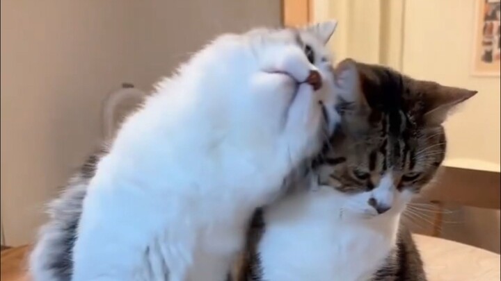 Tag orang yang paling ingin kamu dekati