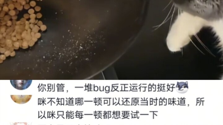 “Mèo có IQ ngang một quả chuối trưởng thành” đã được minh họa cụ thể. Một bug thì là bug, cả đống bu