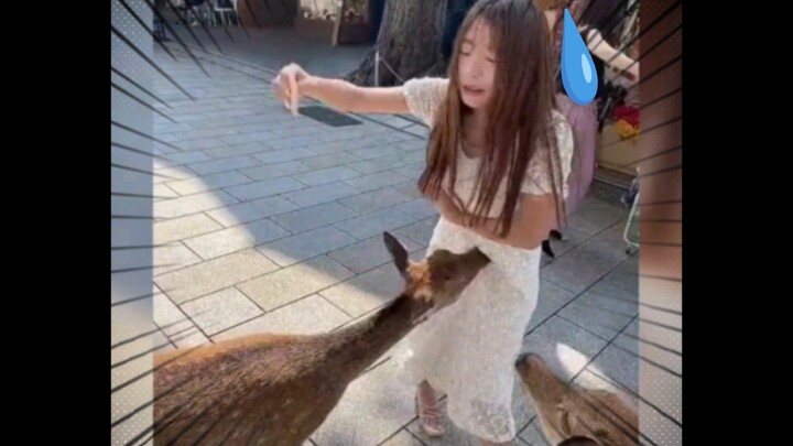 A roundup of iconic, hilarious moments—one funnier than the last!