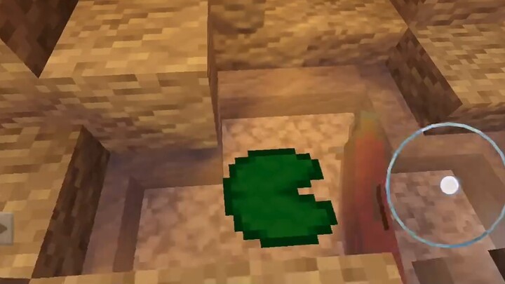 Một khu vườn không hề cực đoan chút nào