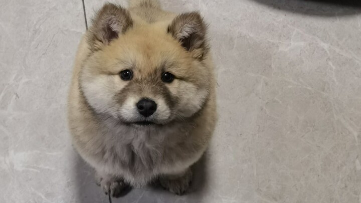 Tusong is really so cute