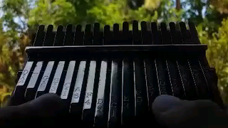 strawberries and cigarettes kalimba cover ( chorus )