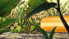 Mitsubachi Hacchi Honey Bee Hutch | Animasi hacchi sebatang kara