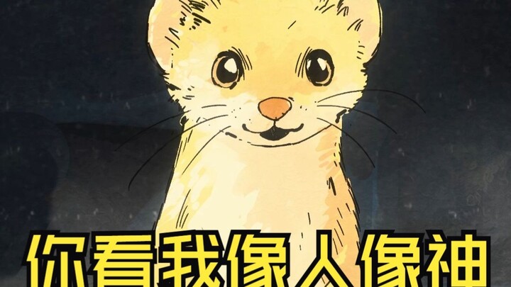 Do I look more like a human or a god?