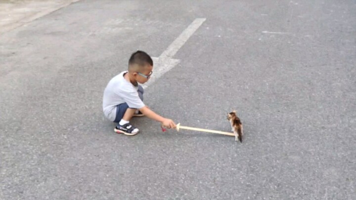 I stumbled upon a naughty kid teasing a stray cat, and I just went up and...