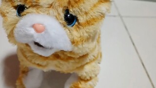 Cute Toy Cat