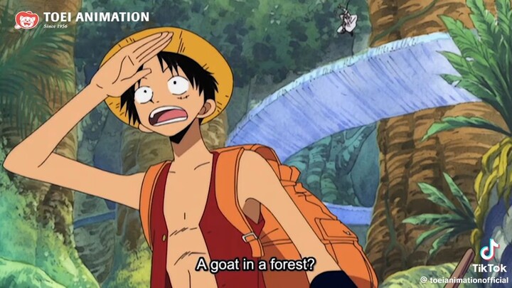 luffy nyaden 😱