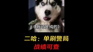二哈：报警吧，我去下个派出所玩玩！