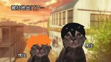 Opening Haikyuu! with cat meme (Part 1)