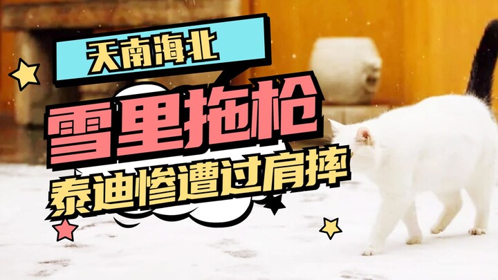 雪里拖枪力保铲屎官，泰迪狗惨遭过肩摔