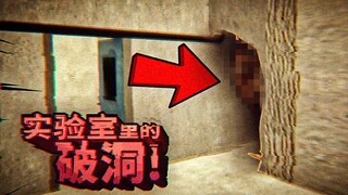 你是一个实验品，当你发现实验室的墙上破了洞，你会怎么做？