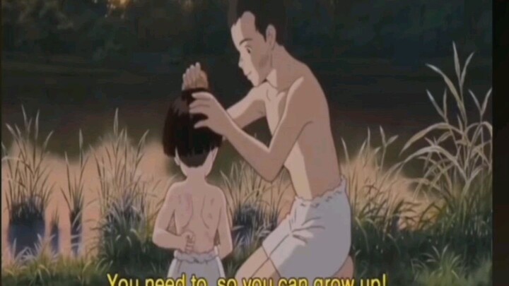 grave of fireflies...😥😥😥