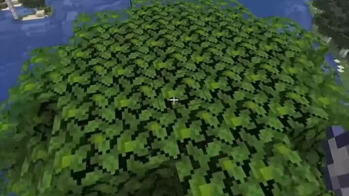 Minecraft: ตอนเด็กๆ มักจะทำแบบนี้บ่อยๆ