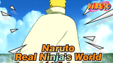 [Naruto] This Is Real Ninja's World