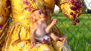 So Lovely! Little boy Maki extremely excited while receiving fruits​ a lot from his beloved Mom