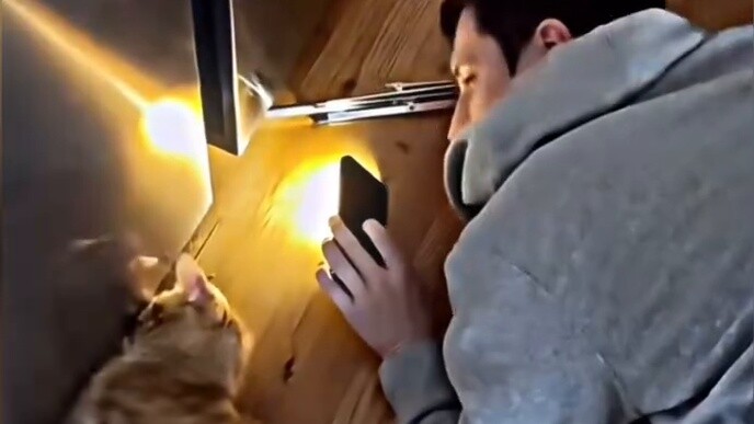 Is this something a normal creature could write?