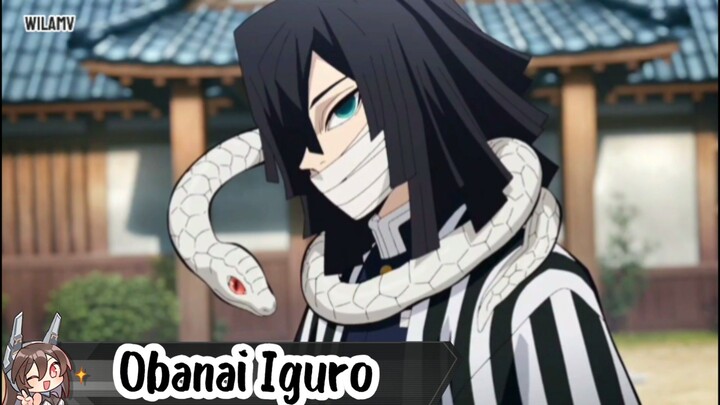 Obanai Iguro🐍 |Demon Slayer|
