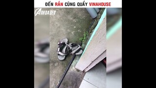 Đến Rắn Cũng Quẩy Vinahouse