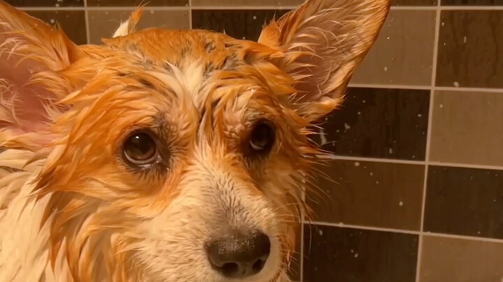 Peristiwa lubang pembuangan, layak dibuatkan satu video tersendiri