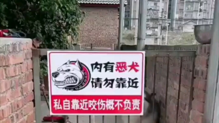 Bên trong có chó dữ, xin đừng lại gần