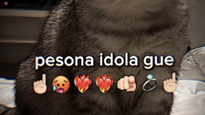 pesona idola gue ngeri