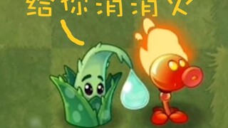 [Hoạt động đáng kinh ngạc] Lô hội thực sự có thể dập tắt lửa! ! ! ! ! !