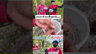 ตกปลาด้วยเหยื่อพิเศษ(สูตรลับ)🎣🤫#shorts #ตกปลา #ฝากติดตาม #ช่องยูทูป #พี่แมน #มิสเตอร์แมน