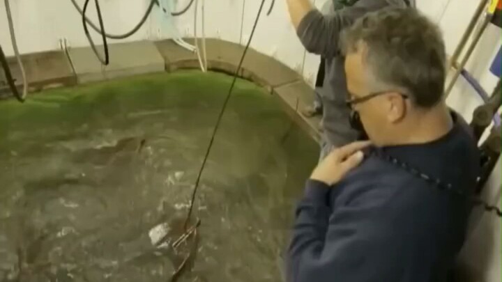 “Chuông lặn” giúp con người thở tự do dưới nước là gì?