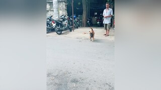 Má ơi! Ba đưa tiền cho Má nè 🤣🤣🤣🤣🤣chócute chócon