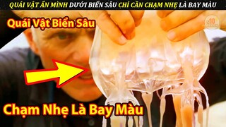 Quái Vật Ẩn Mình Dưới Biển Sâu Chỉ Cần Chạm Nhẹ Là Bay Màu