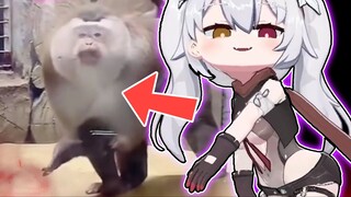 แล้วขอถามเรื่องวิวัฒนาการทางชีววิทยาหน่อยว่าฉันชนะมั้ย?
