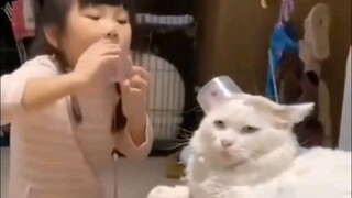 Anti-Pet Baby