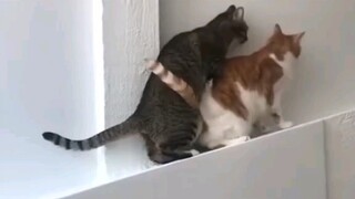 بدأ الجو يصبح أكثر حساسية تدريجيًا