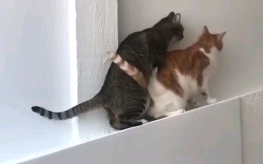 The atmosphere gradually became subtle.