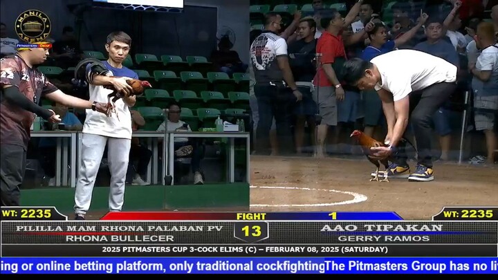 Gerry Ramos Vs Rhona Bullecer