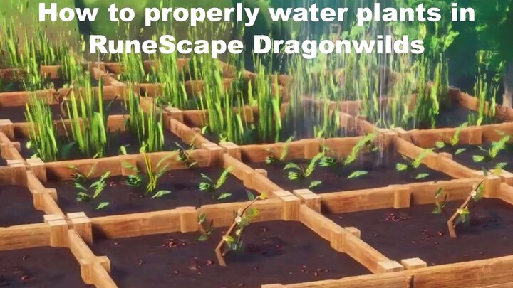Most satisfying way to water your plants
