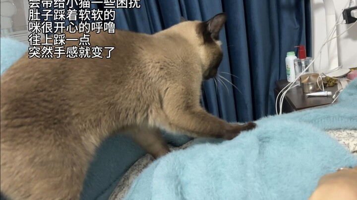 I’m willing to apologize to my cat for my figure.