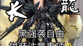 长龙五金你选了谁？长龙黑色强袭自由，拼装体验以及注意事项！