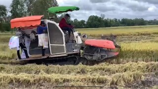Máy Cắt Lúa KUBOTA DC 105x I KUBOTA DC 70 Toàn cảnh I Nhạc Liên khúc Remix Hoa Cài Máy Tóc Cực Phê