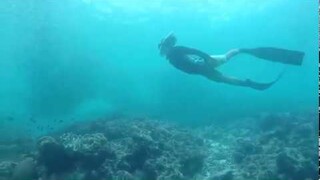 Freediving in Moalboal | Salt Life