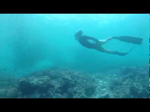 Freediving in Moalboal | Salt Life